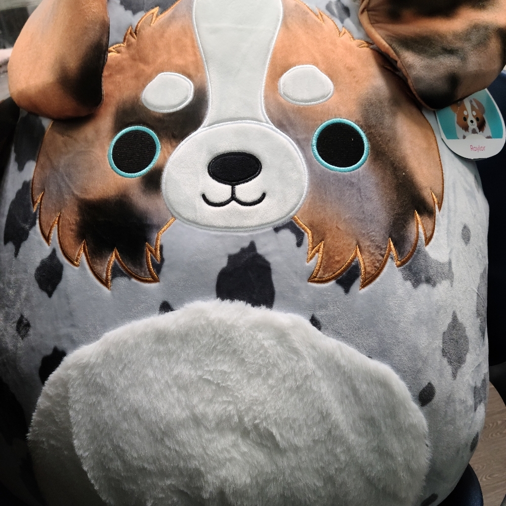 Raylor the Australian Shepherd Squishmallow